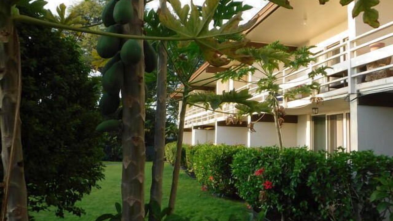 Photo of Outdoor in Kahaluu Bay