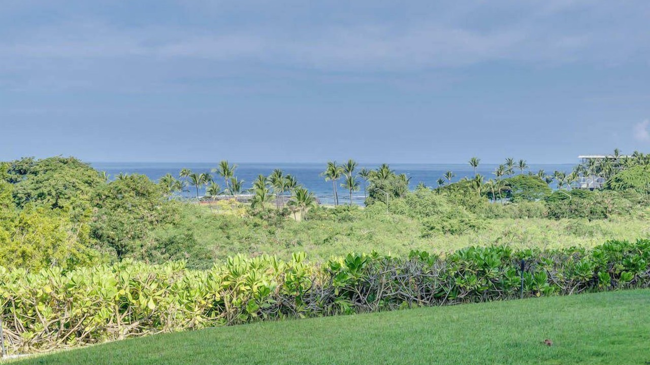 Photo of Others in Kahaluu Bay