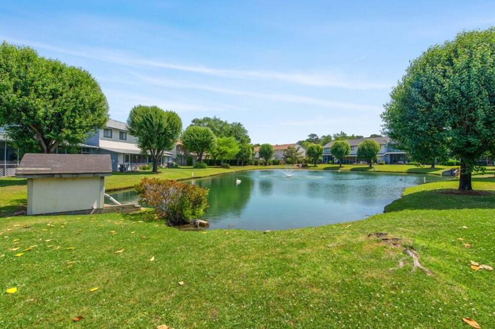 Photo of Outdoor in Little River