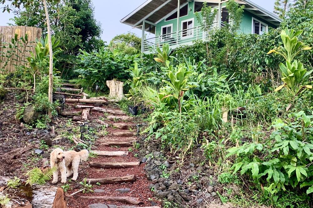 Photo of Outdoor in Kealakekua