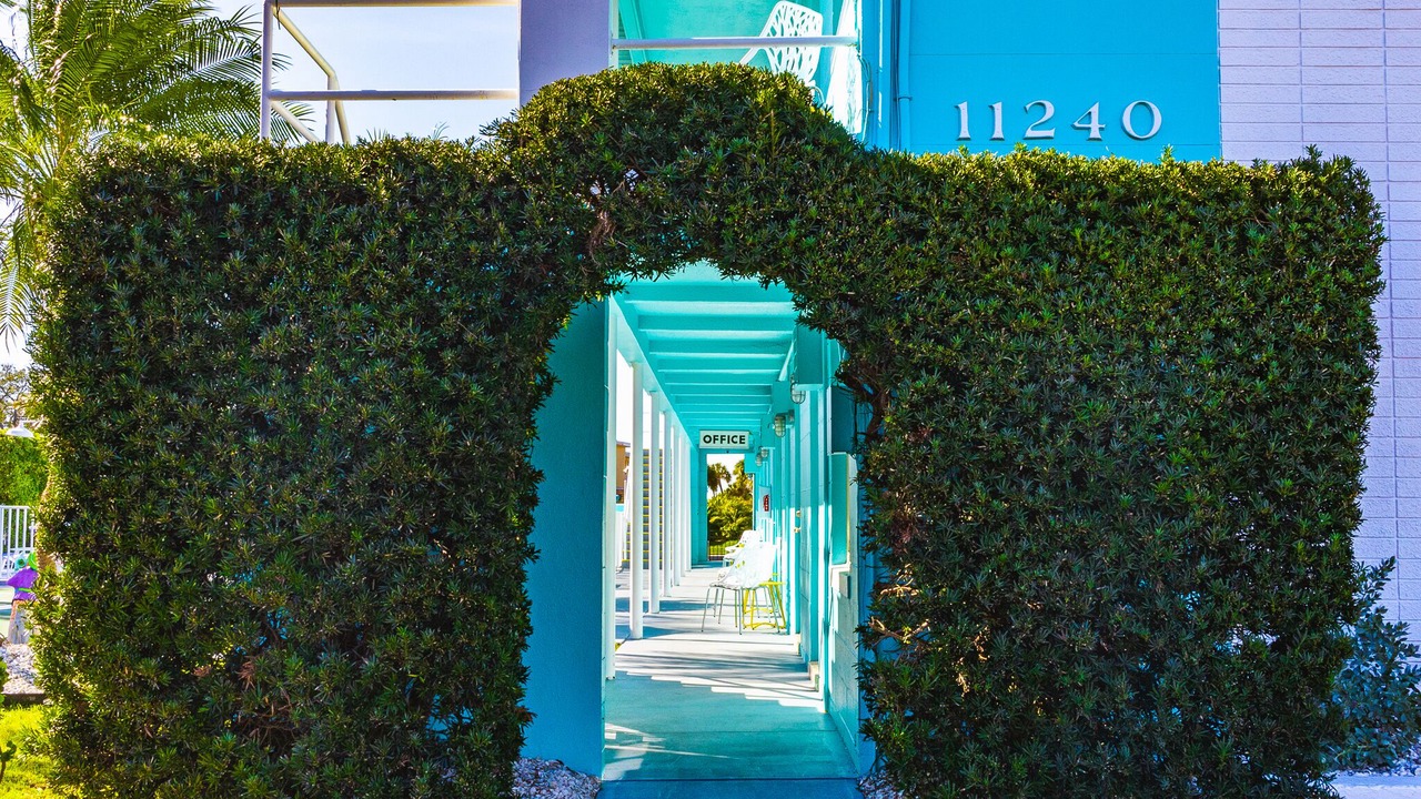 Photo of Others in Treasure Island