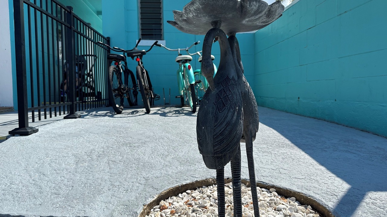 Photo of Outdoor in Treasure Island