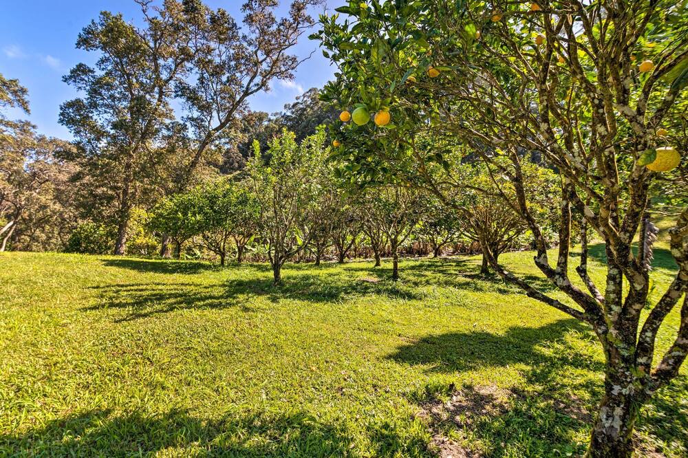 Photo of Outdoor in Honokaa