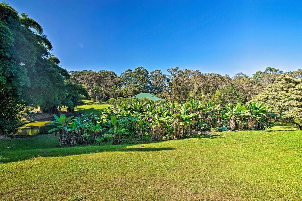 Photo of Outdoor in Honokaa