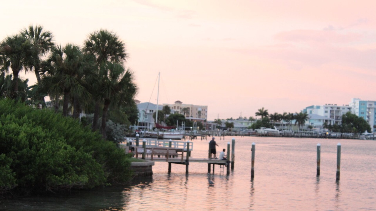 Photo of Others in Treasure Island