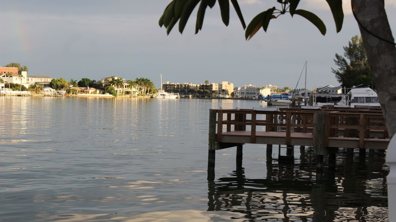Photo of Others in Treasure Island