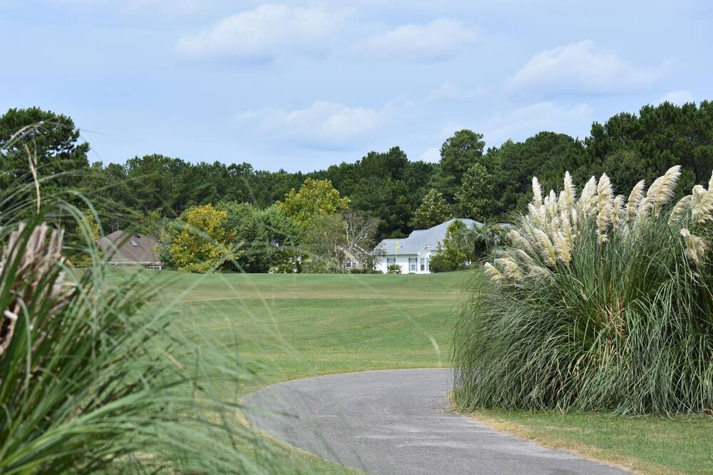 Photo of Outdoor in Calabash