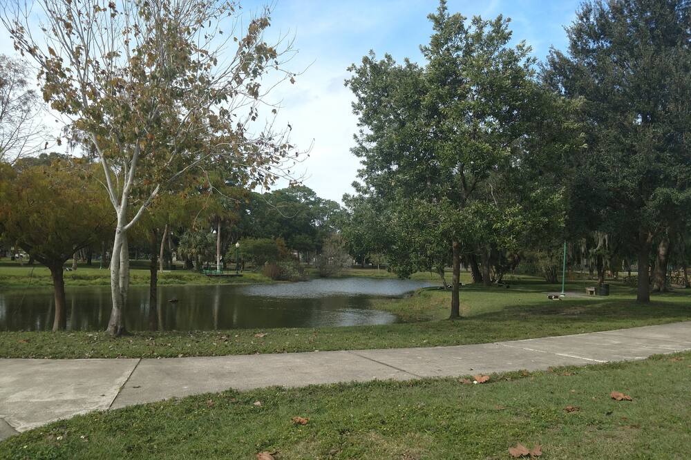 Photo of Outdoor in Gillespie Park