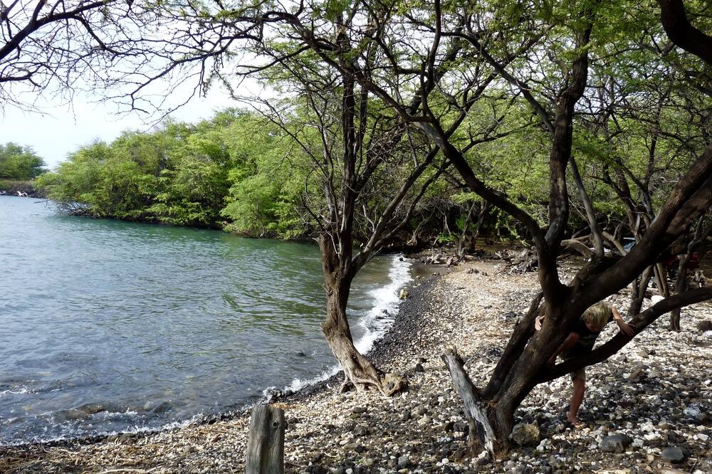 Photo of Others in Kamuela