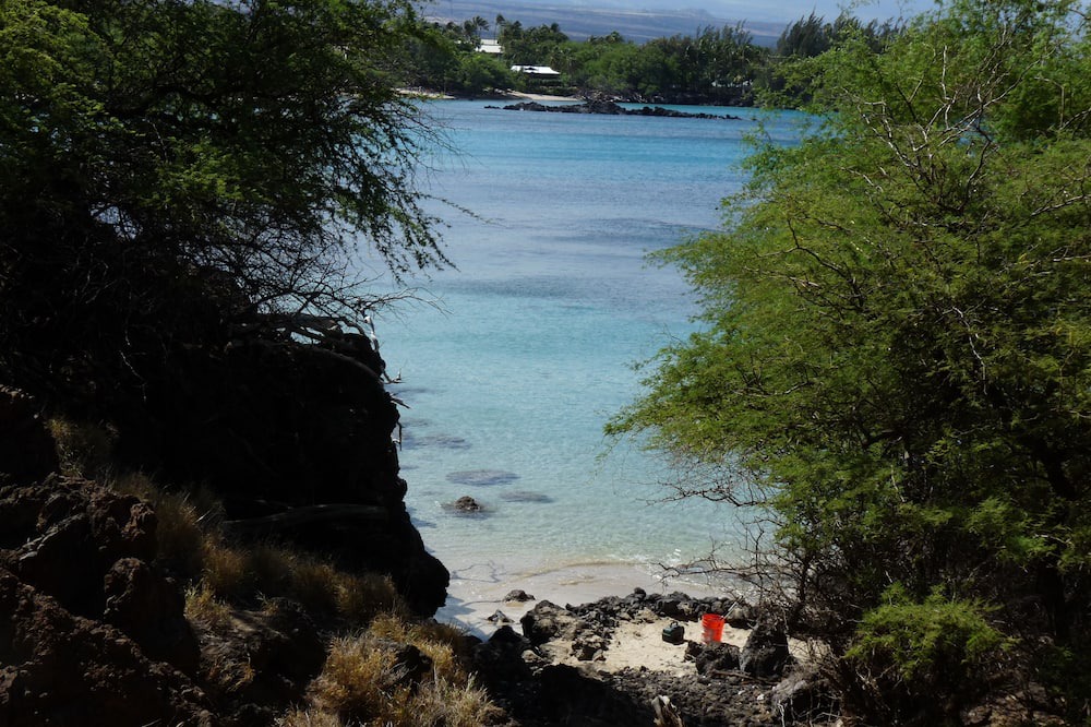 Photo of Others in Kamuela