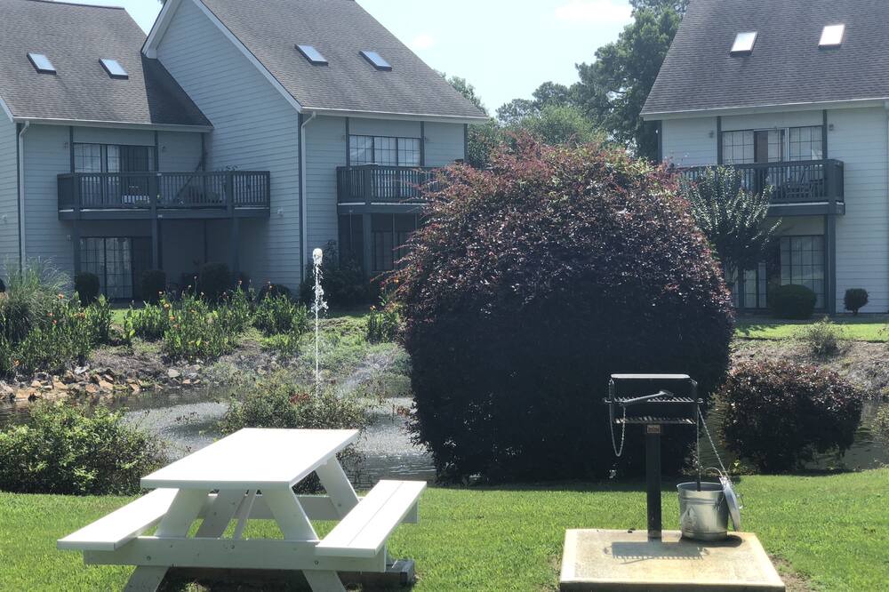 Photo of Outdoor in Little River
