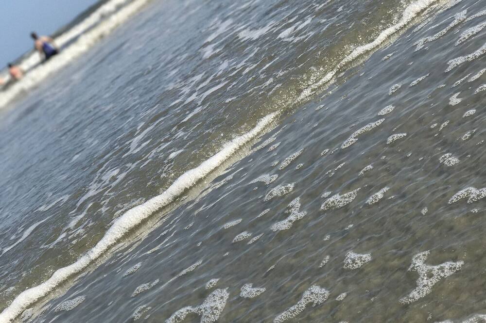Photo of Others in Little River