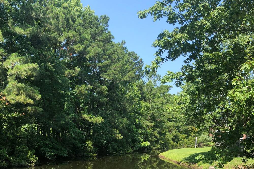 Photo of Outdoor in Little River