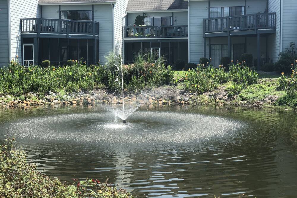 Photo of Outdoor in Little River