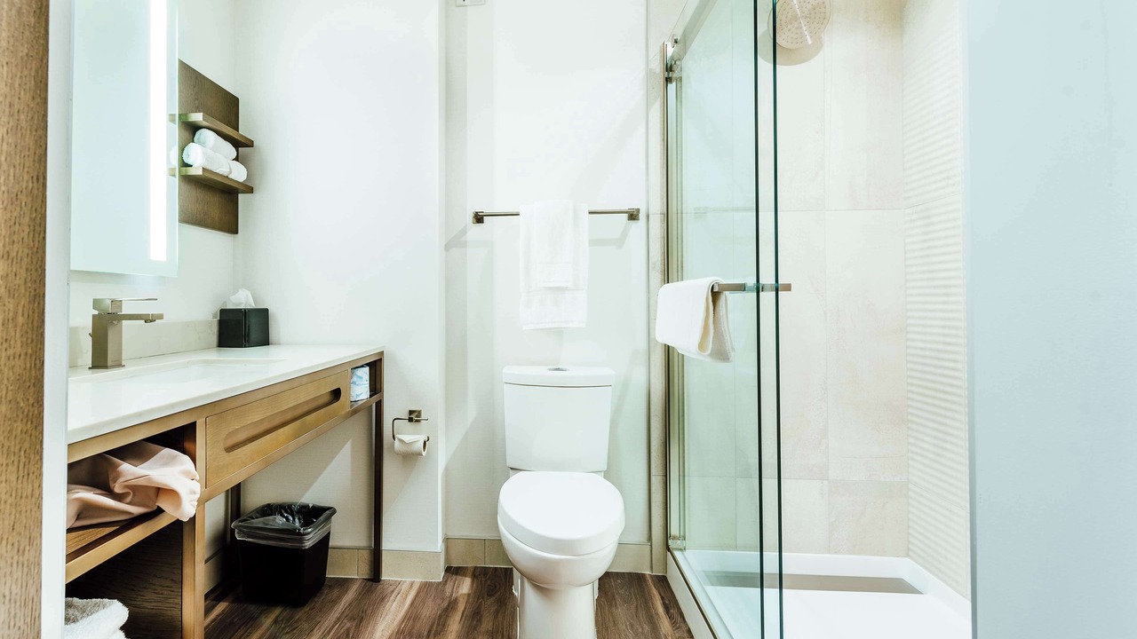 Photo of Bathroom in LoDo