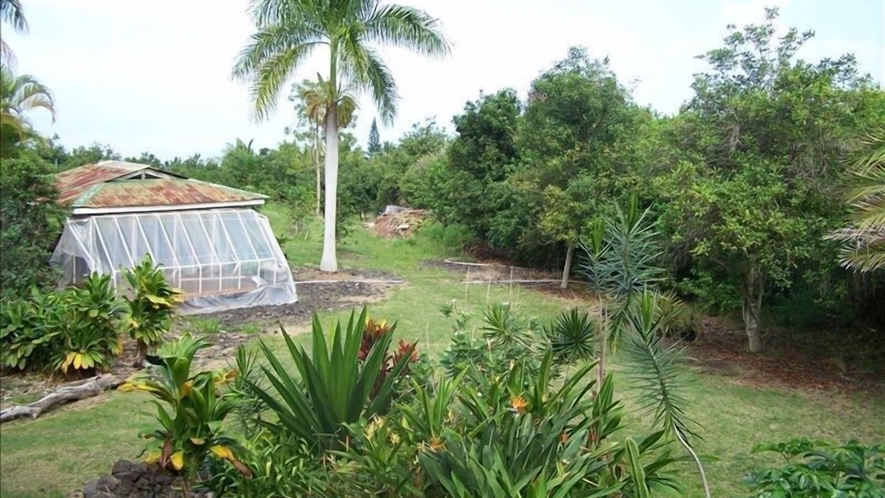 Photo of Outdoor in Honaunau-Napoopoo