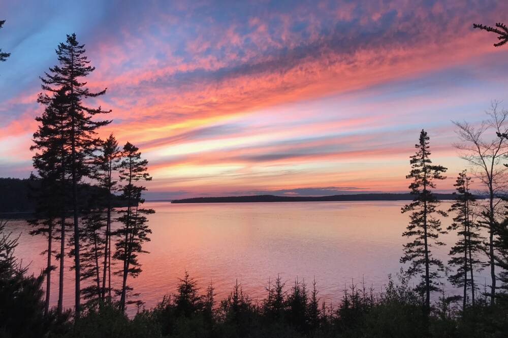 Photo of Others in Winter Harbor