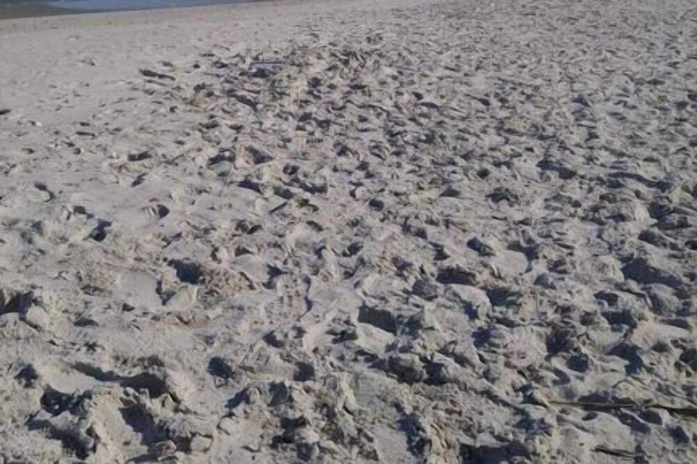 Photo of Outdoor in Holden Beach
