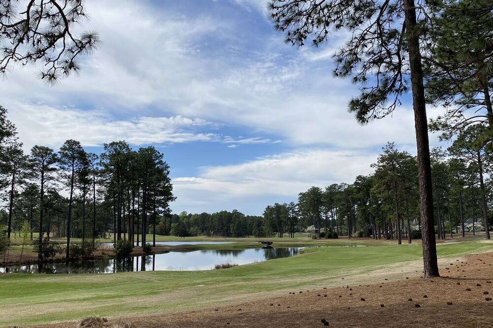 Photo of Others in Pinehurst