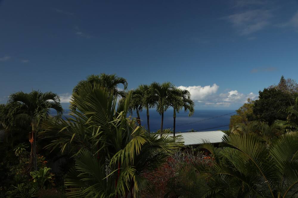 Photo of Others in Kealakekua