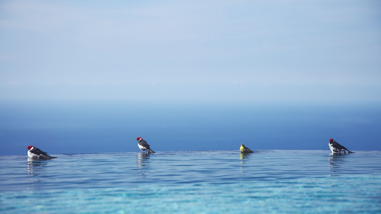 Photo of Outdoor in Kahaluu-Keauhou