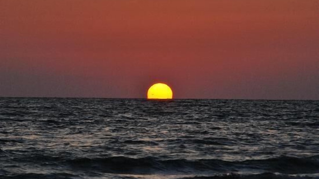 Photo of Others in Siesta Key