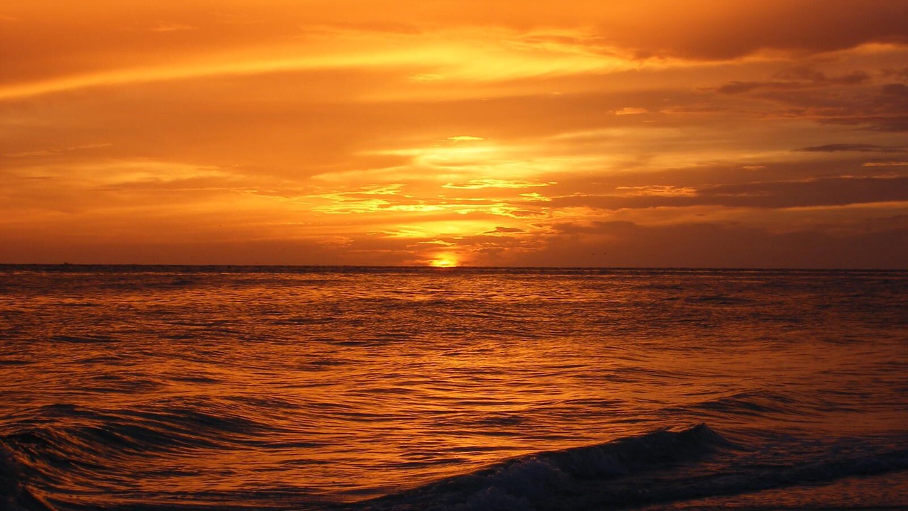 Photo of Others in Siesta Key