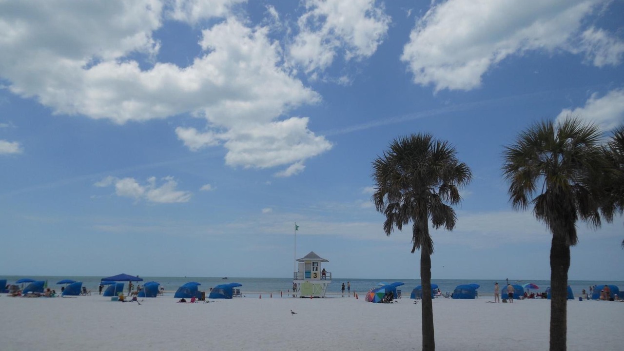 Photo of Others in Clearwater