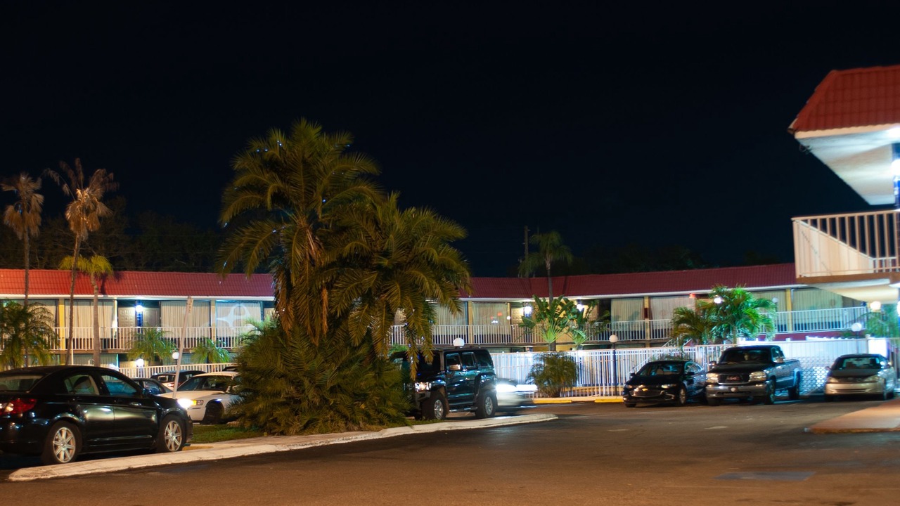 Photo of Outdoor in Clearwater