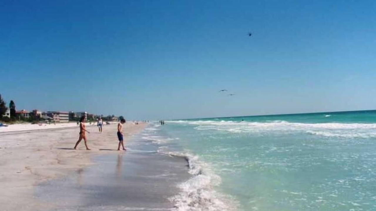 Photo of Others in Clearwater