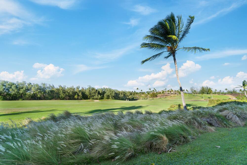 Photo of Others in Waikoloa