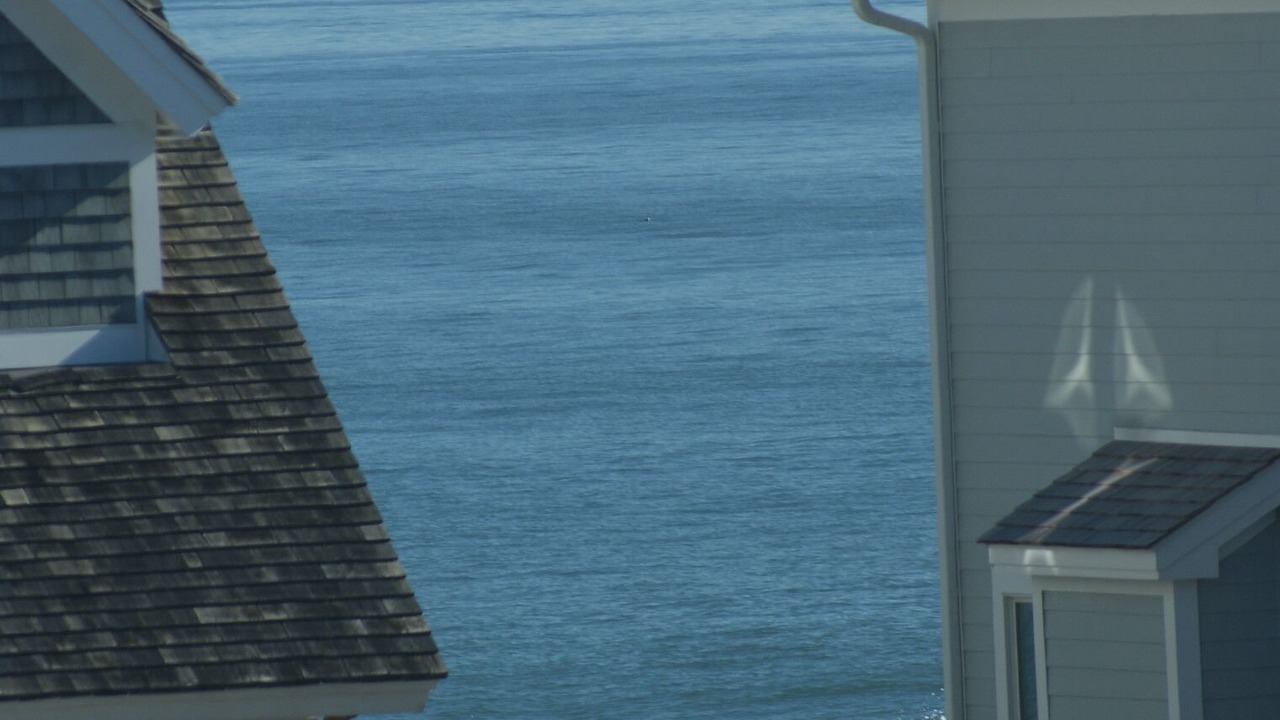 Photo of Others in Bethany Beach