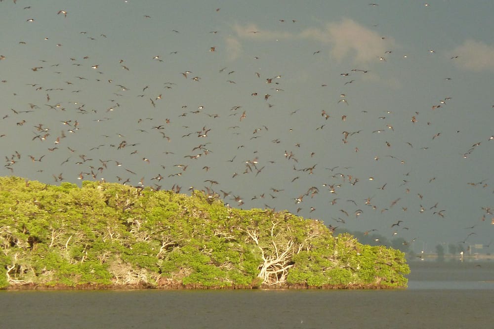 Photo of Others in Tierra Verde