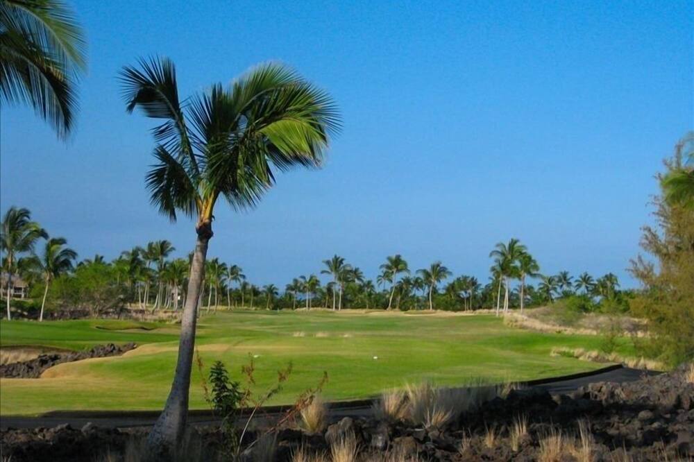 Photo of Outdoor in Waikoloa