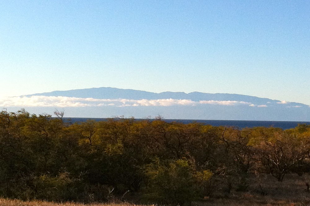 Photo of Others in Hawi