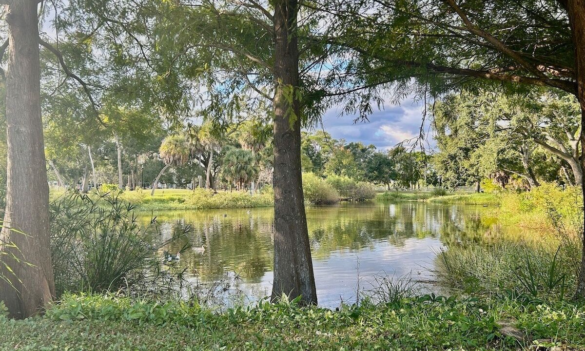 Photo of Others in Gillespie Park