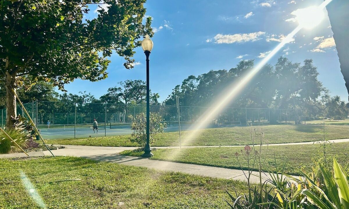 Photo of Others in Gillespie Park