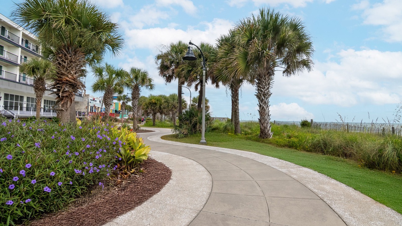 Photo of Outdoor in Surfside Beach