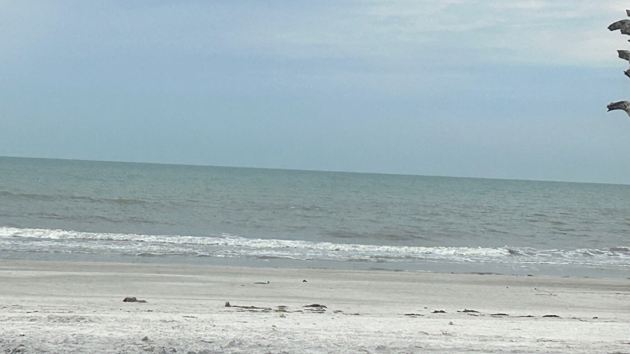 Photo of Others in Redington Shores