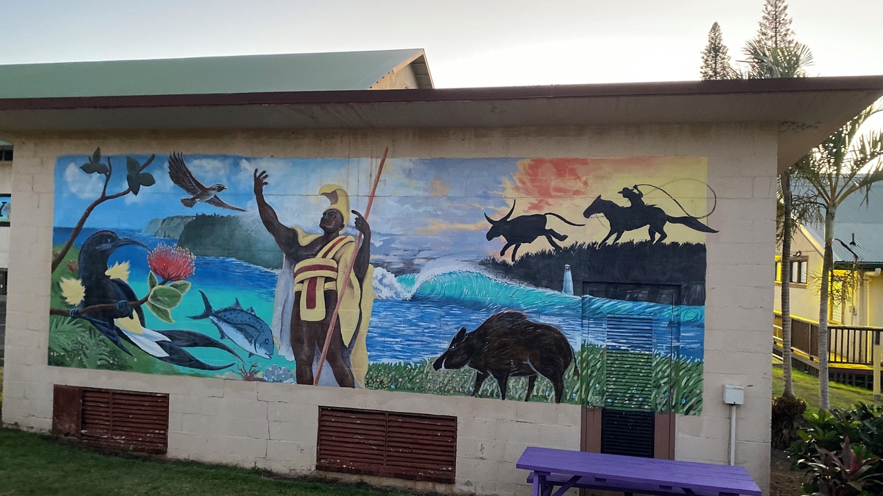 Photo of Outdoor in Waikoloa Village