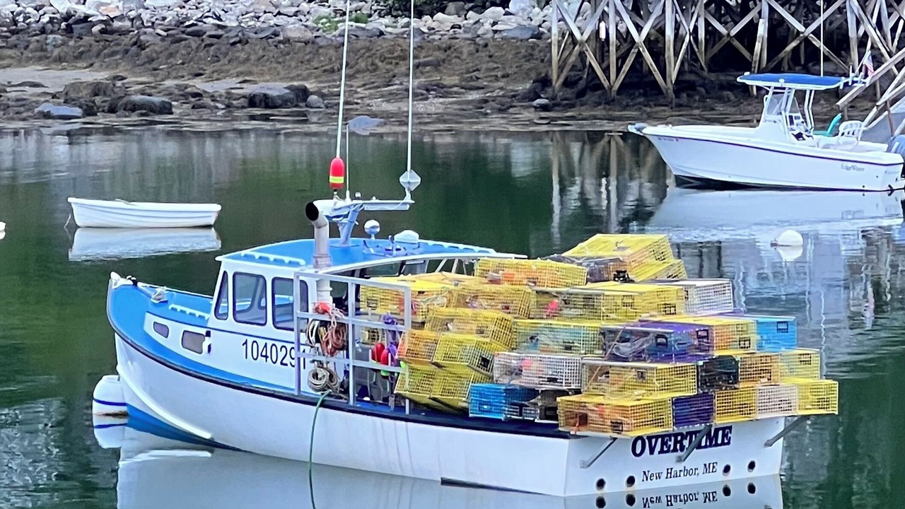 Photo of Others in New Harbor