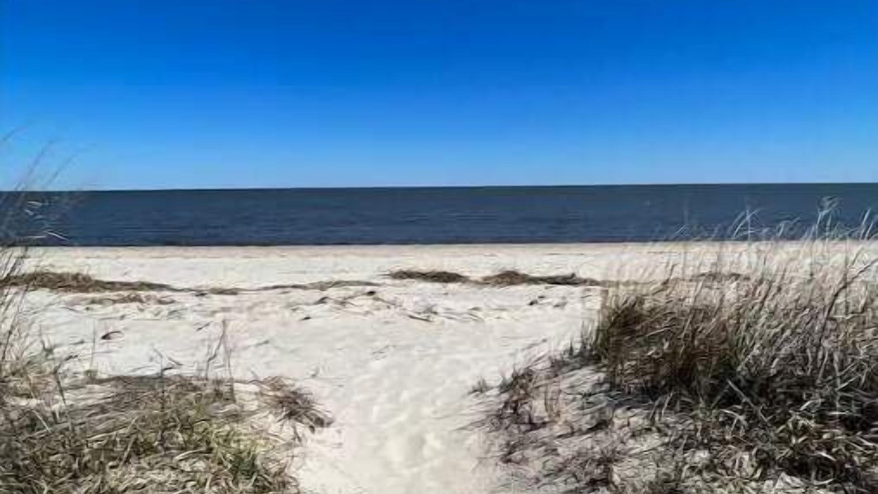 Photo of Others in Slaughter Beach