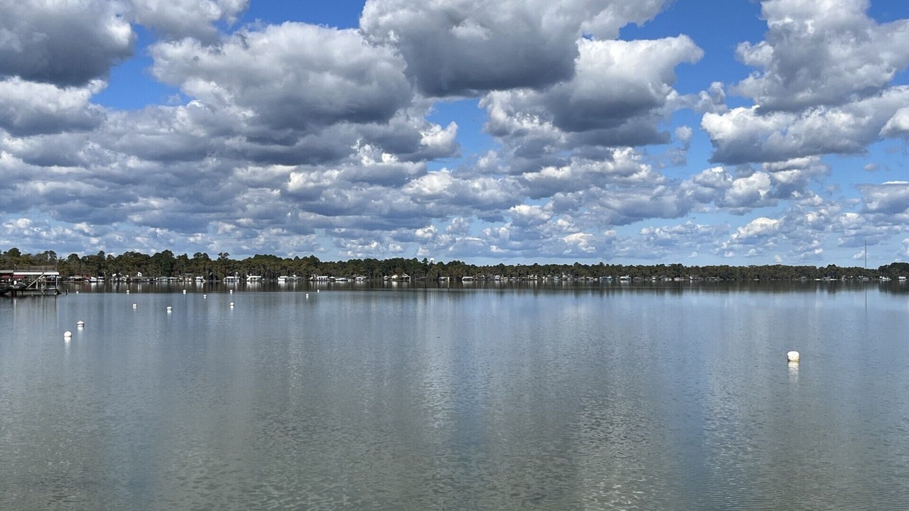 Photo of Others in White Lake