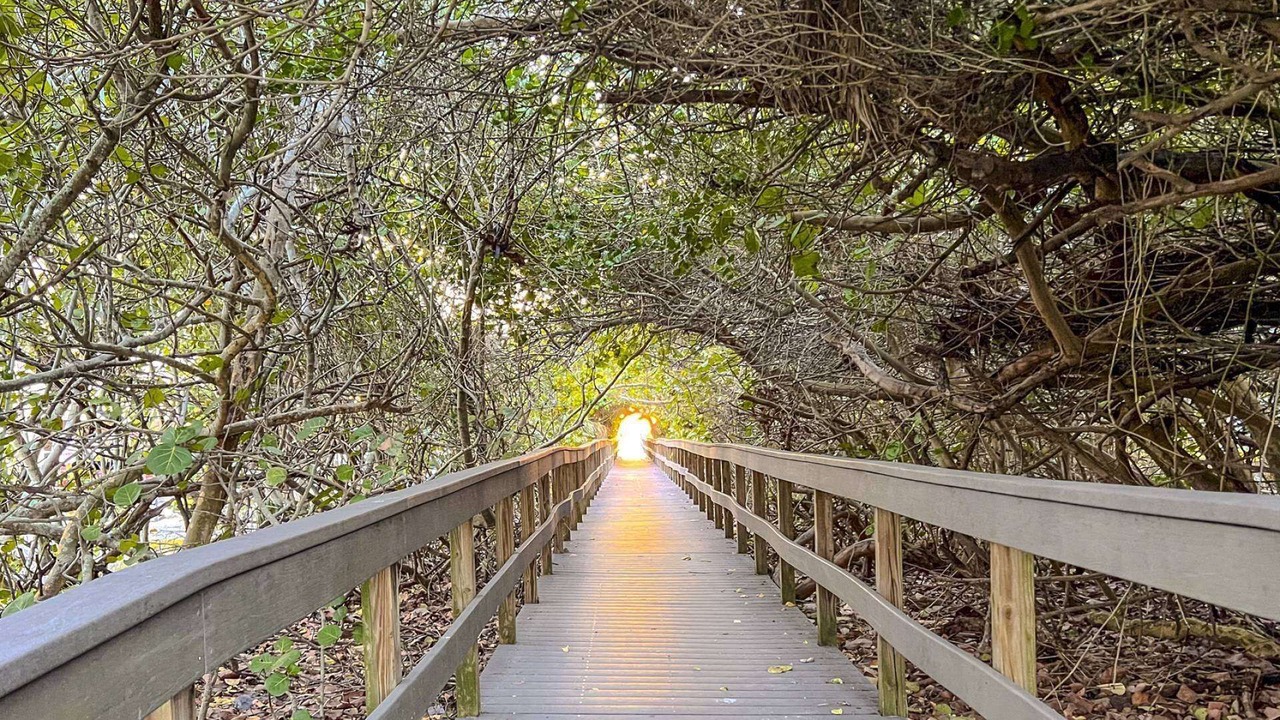 Photo of Outdoor in Treasure Island