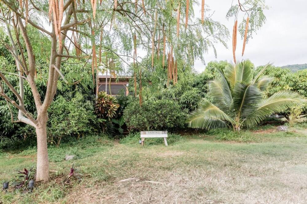Photo of Others in Honaunau-Napoopoo