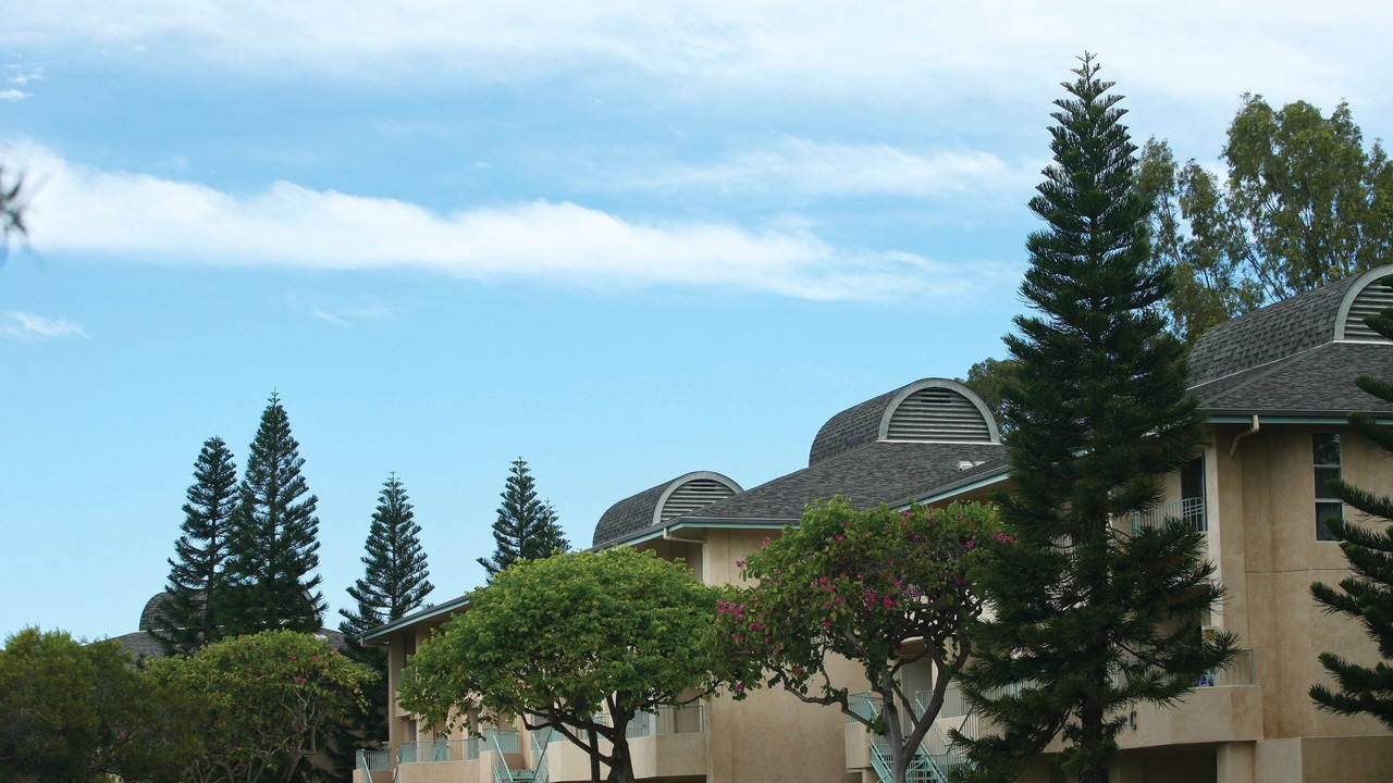 Photo of Outdoor in Waikoloa