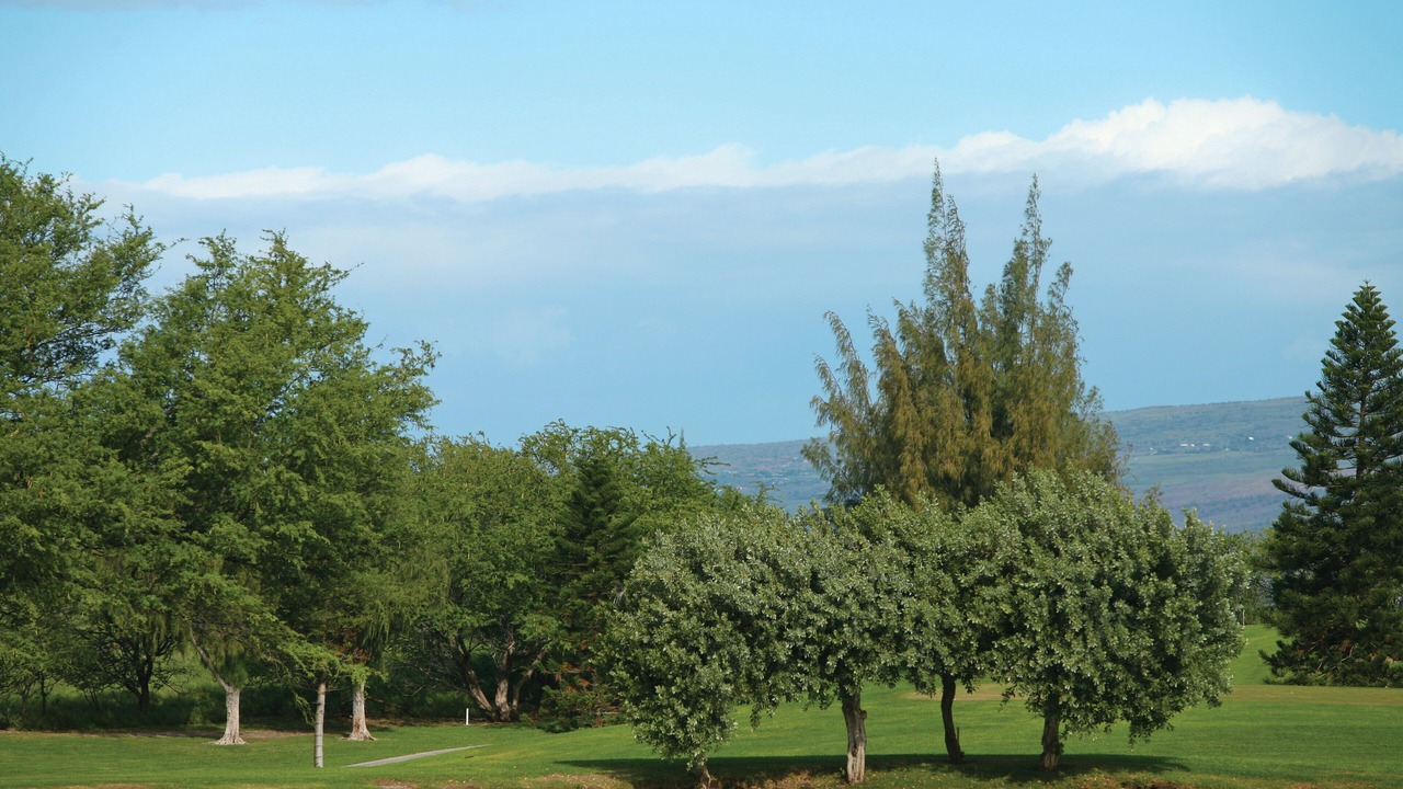 Photo of Others in Waikoloa