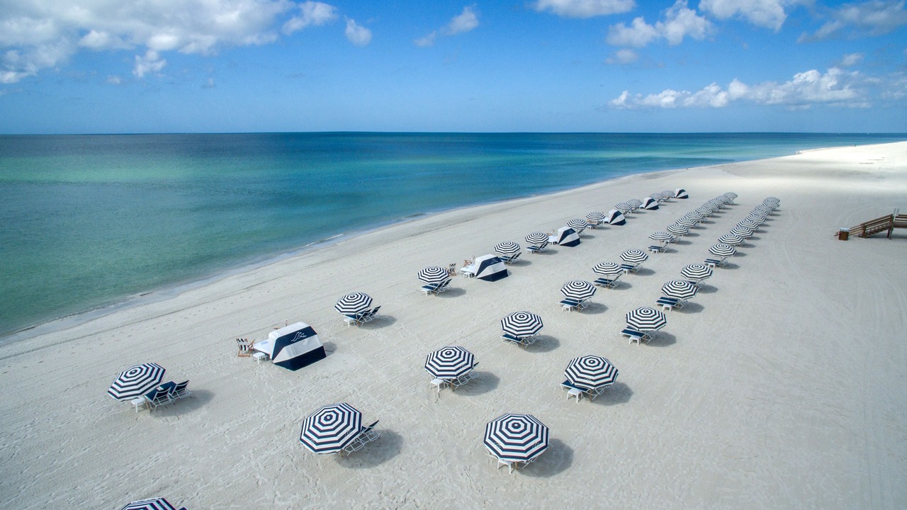 Photo of Others in Sarasota