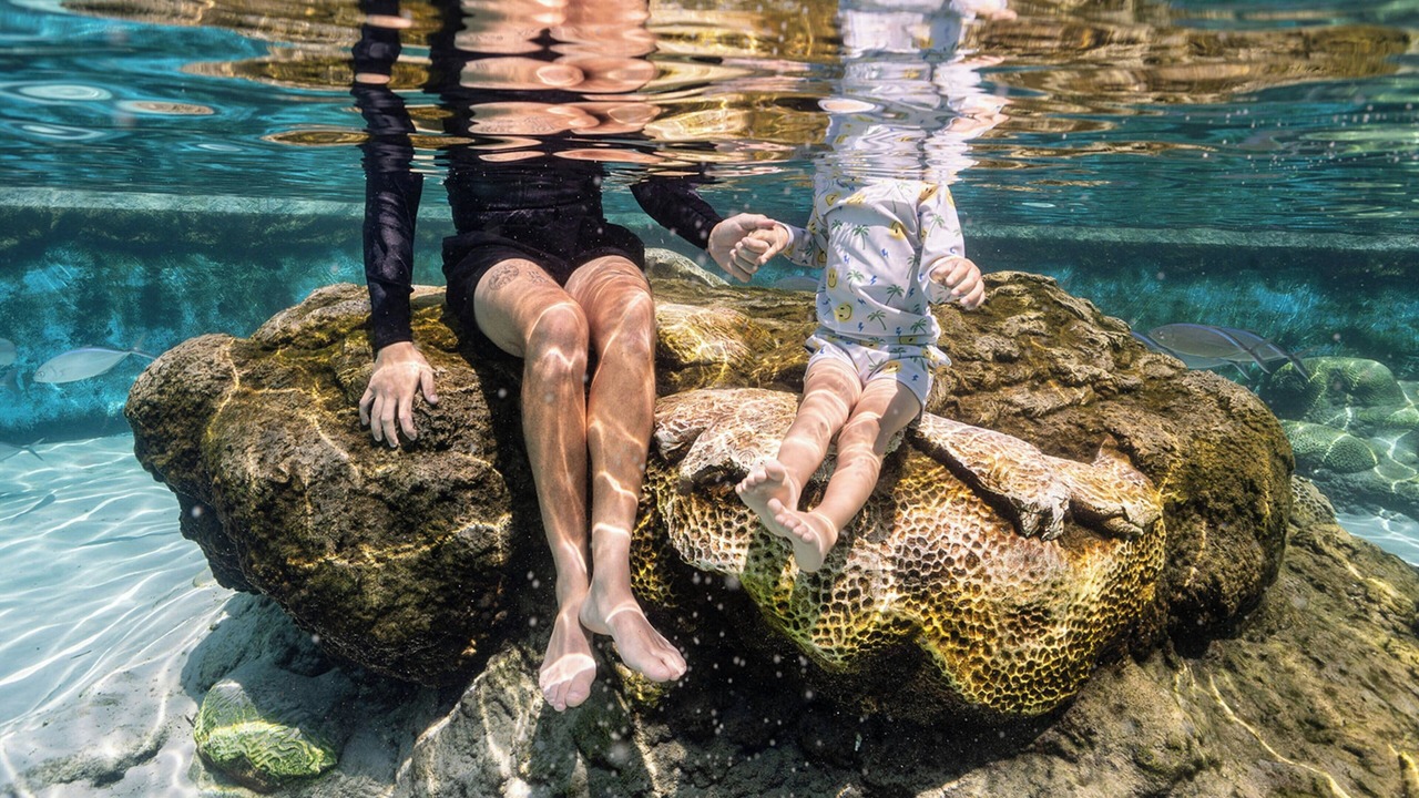 Photo of Others in Bay Isles