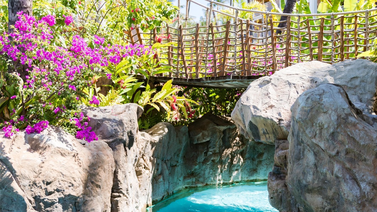 Photo of Outdoor in Wailea